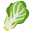 lettuce